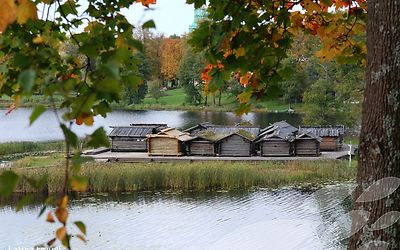 Experience the medieval centuries 