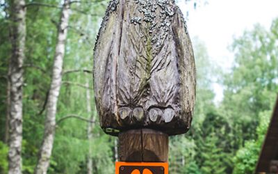 A unique nature trail 
